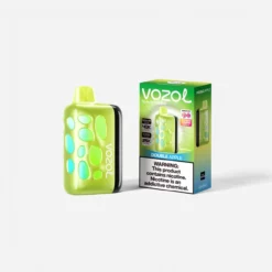 VOZOL RAVE 40000 Double Apple 270° LED Disposable Vape