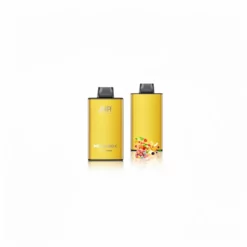 JNR Mega Box 25000 Puffs 30ml Long-Lasting Vape