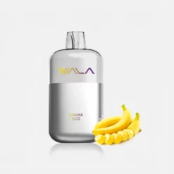 WALA POP 10000 Puffs Dual Mesh Coil Disposable Vape